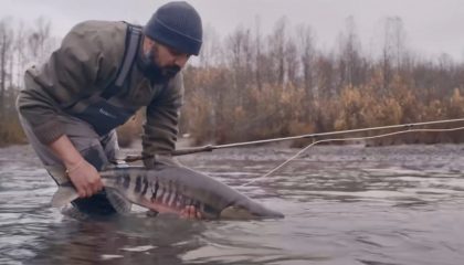 The Squamish Poacher: A Fly Fishing Short Film