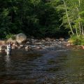 Ask MidCurrent: How Do I Make Wet Flies “Skitter” on the Surface?