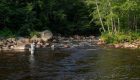 Ask MidCurrent: How Do I Make Wet Flies “Skitter” on the Surface?