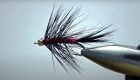 The Micro-Woolly Bugger: A Trout and Panfish Killer