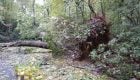 Fly-Fishing Through Disasters