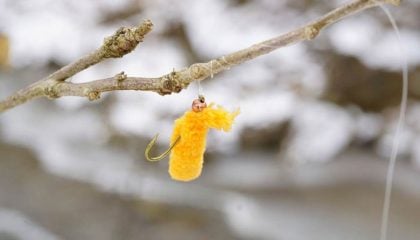 Leave No Fly Behind