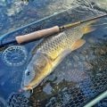 Gear Review: Airlite Cargo 9-Foot 7-Weight Fly Rod