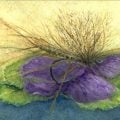 Artist Profile: Katherine Ford, Capturing Beauty in Close Detail