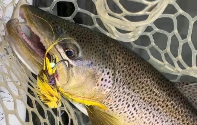 Dirty Dancing: How to Fish Streamers in High Water