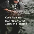 Keep Fish Wet Offers Free Catch-and-Release Mini-Lesson