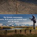 Take Action to Protect Public Land