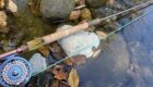 MidCurrent Tested and Trusted: Redington Dually Spey and Switch Rods