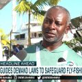 Bahamian Guides Demand Laws to Discourage DIY Fishing