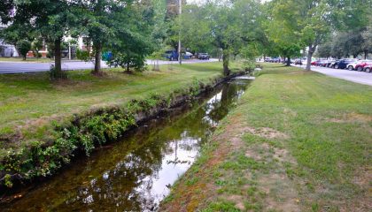 Suburban and Urban Streams: Fish Hiding in Plain Sight
