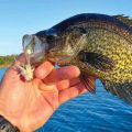 Best Tips for Winter Crappies on the Fly
