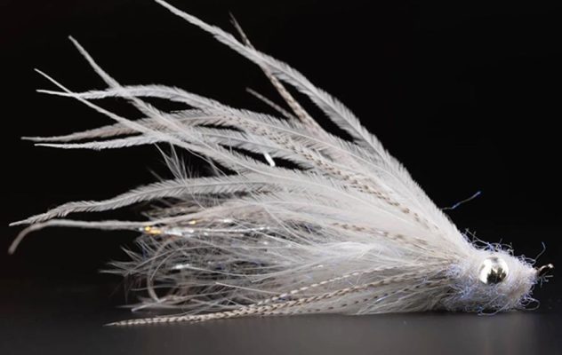 How to Tie Jorgensen's Dirty Bird Intruder