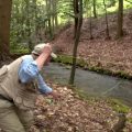 Video:  Mastering Small Stream Fly Fishing with Joe Humphreys