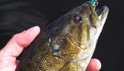 Ask MidCurrent: When is it Right to Fish a Fly Wrong?