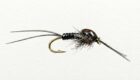 Winter Stonefly Nymph: Patterns and Tactics for Early Season