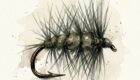 Best Winter Trout Flies for February