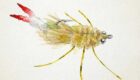 Best Permit Crab Flies: 7 Proven Patterns That Actually Work