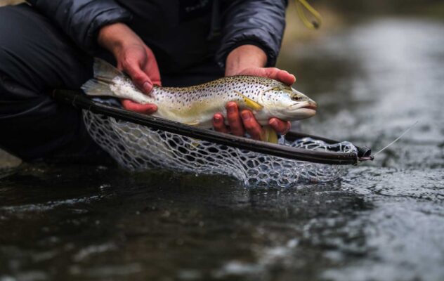 How to Build Fly Fishing Leaders for March Trout