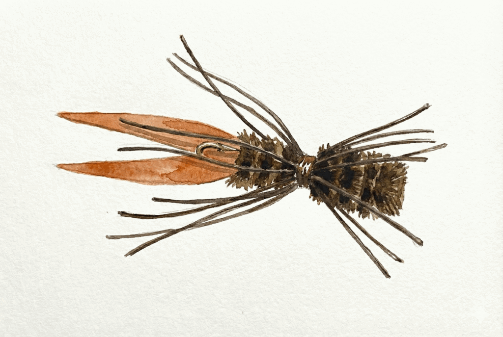 Chuck Craft's Clawdad fly