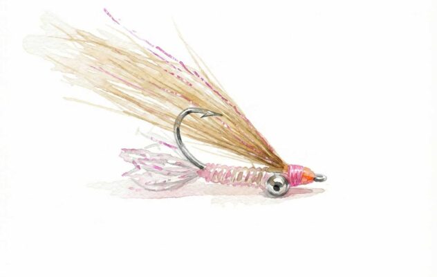 A Beginner's Guide to Saltwater Fly Selection: The 8 Patterns That Cover 90% of March Situations