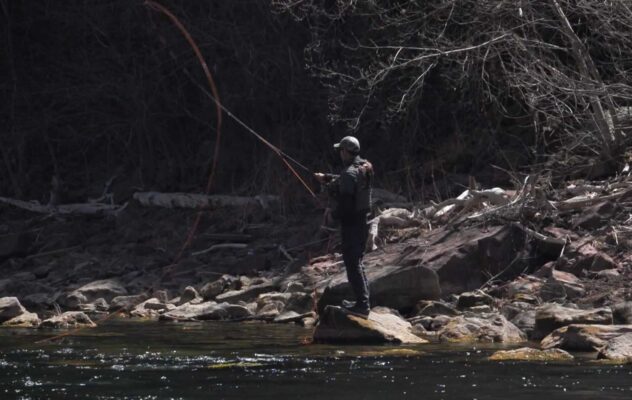 How to Roll Cast for Bass in Tight Cover: The March Technique Most Fly Anglers Underuse
