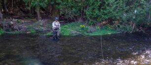 How to Mend Fly Line: When to Mend Upstream vs. Downstream for Drag-Free Drifts