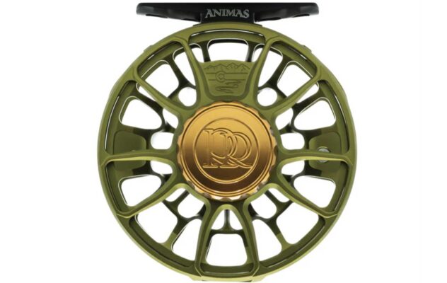 Best Fly Reel Drag for Steelhead: What Actually Matters
