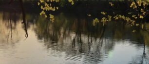 The Ghost of Dave Palmer