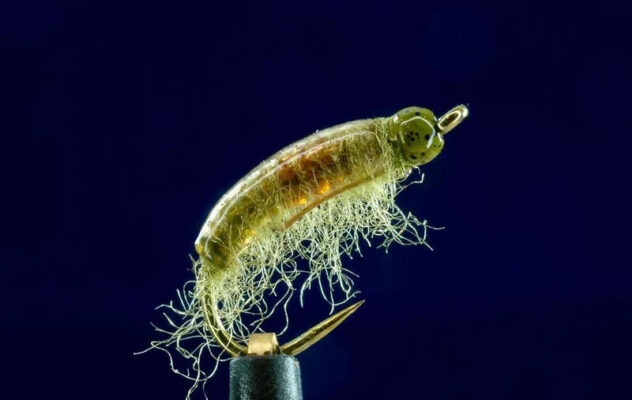 What Your Dubbing Is Actually Doing Underwater