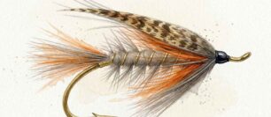 The Lady Caroline Fly