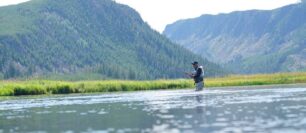 Fly Fishing on the Madison River in Yellowstone National Park