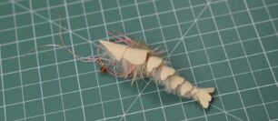 The Most Realistic Fishing Fly?