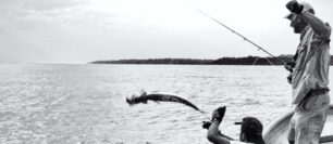 Fly Fishing for Tarpon