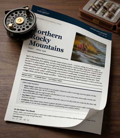 MidCurrent Plus Monthly Guide