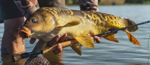 MidCurrent Tested & Trusted: Scott Wave Fly Rod
